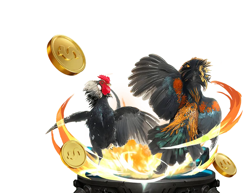 Giao diện cá cược đá gà OKVIP APP