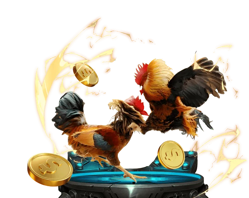 Các loại hình đá gà trên OKVIP APP